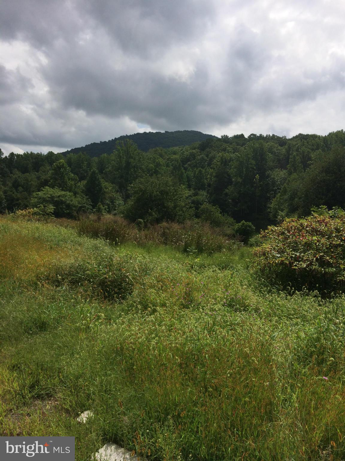10491 Moreland Road Delaplane, VA 20144 - Photo 1 of 10 View