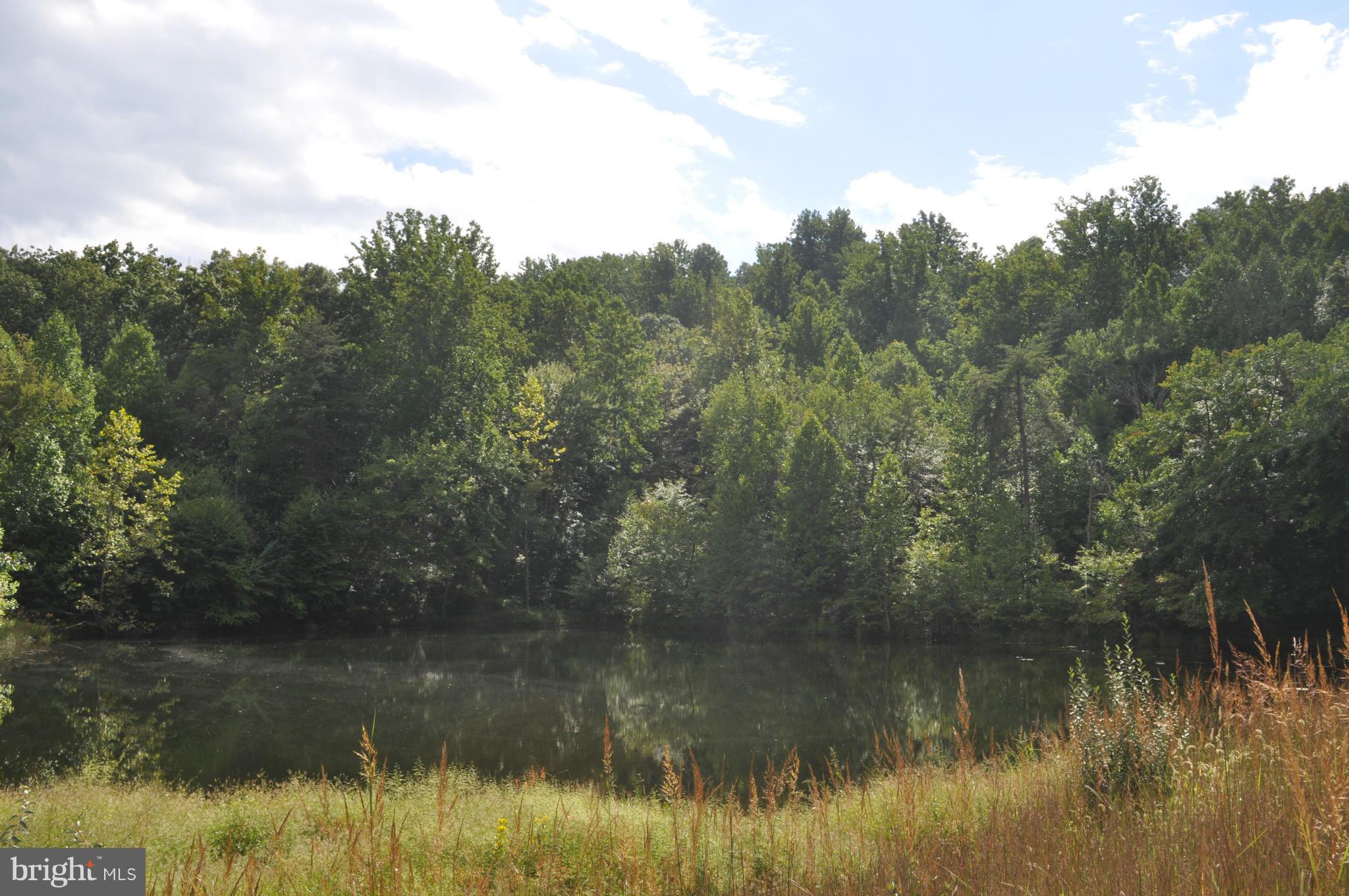 10491 Moreland Road Delaplane, VA 20144 - Photo 2 of 10 View