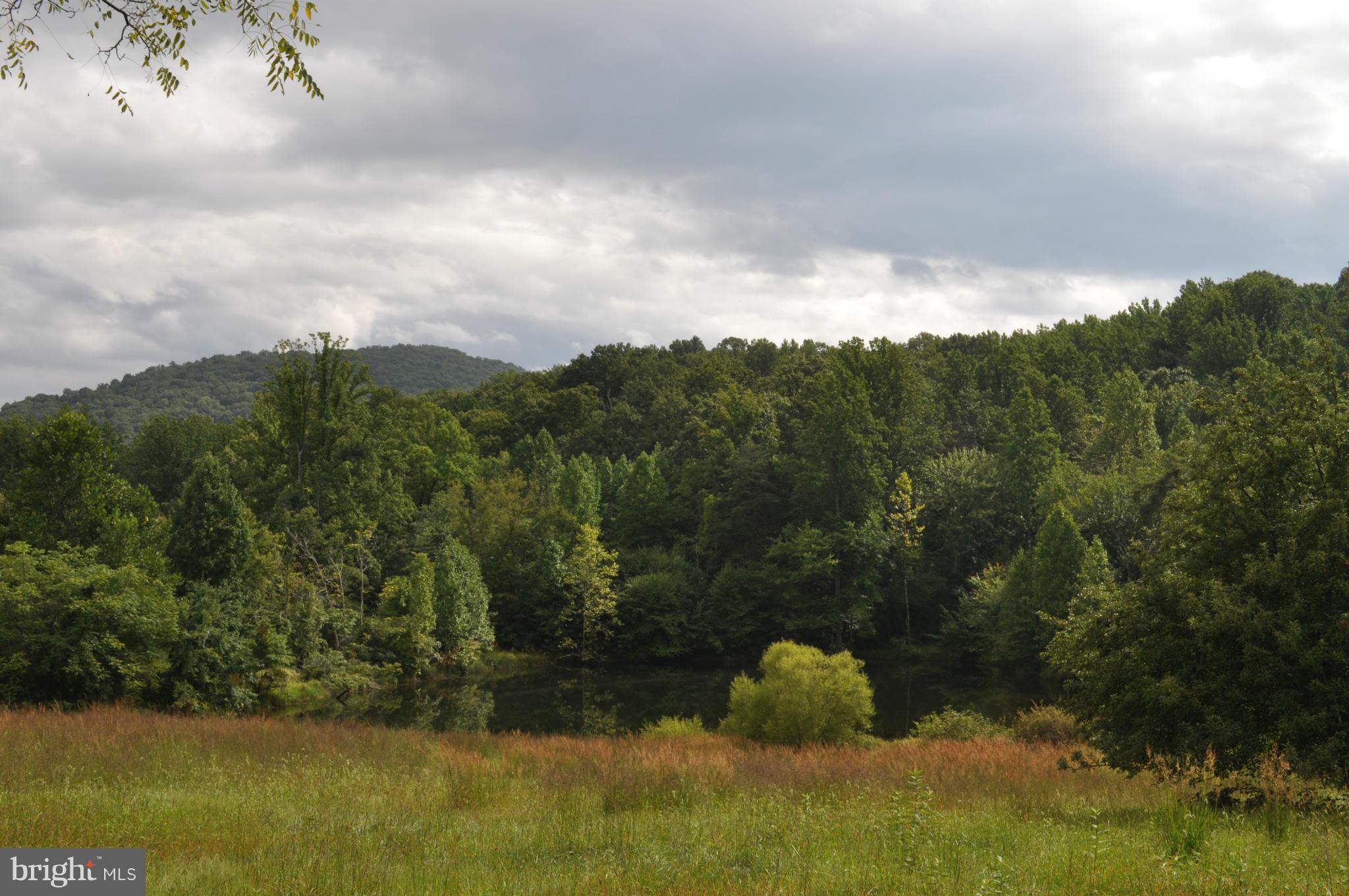 10491 Moreland Road Delaplane, VA 20144 - Photo 3 of 10 View