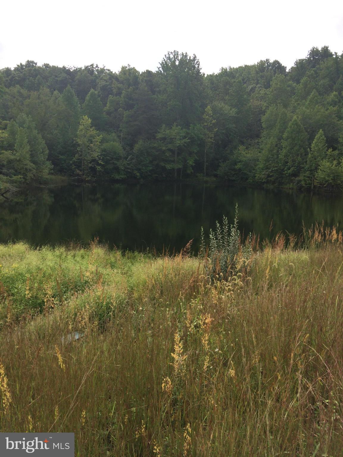10491 Moreland Road Delaplane, VA 20144 - Photo 10 of 10 View