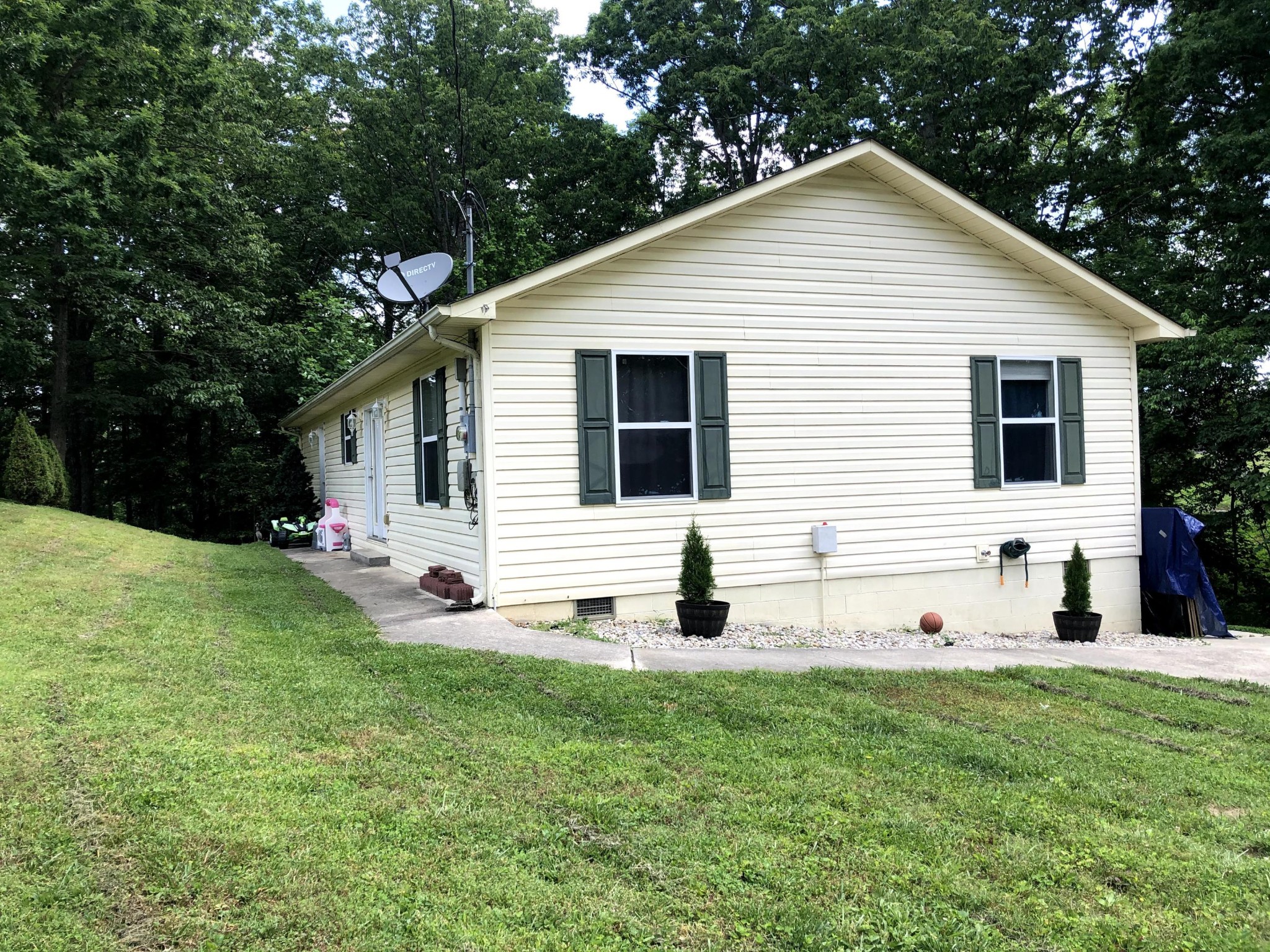 915 Sand Cut Road Oneida, TN 37841 - Photo 5 of 19 a view of a backyard with plants and large tree
