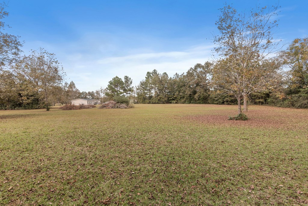 459 Mitchell Road Hartford, AL 36344 - Photo 23 of 32