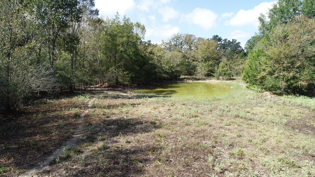 2703 AN County Road Tennessee Colony, TX 75861 - Photo 13 of 30