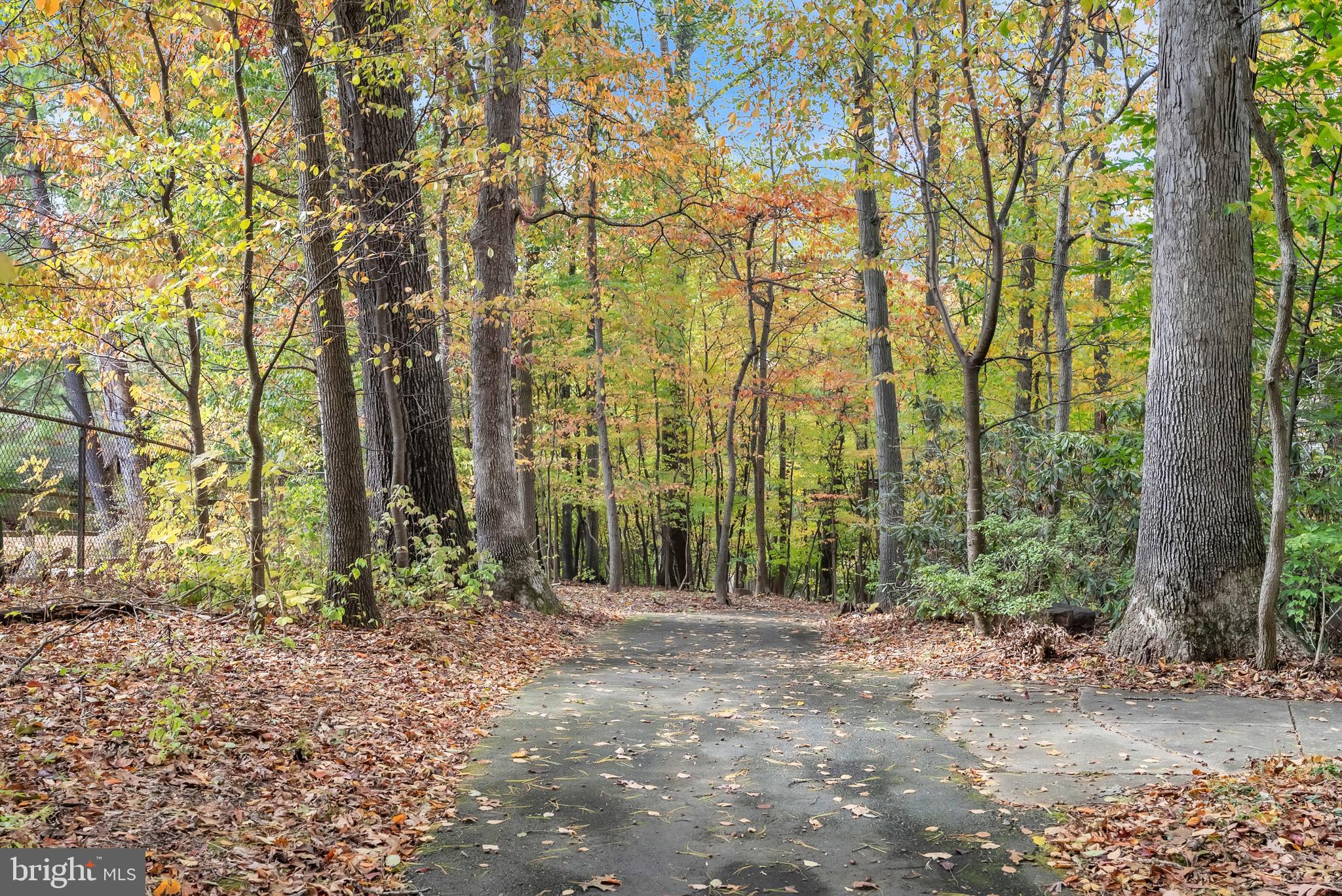 8074 Inverness Ridge Road Potomac, MD 20854 - Photo 36 of 41 a view of outdoor space and yard