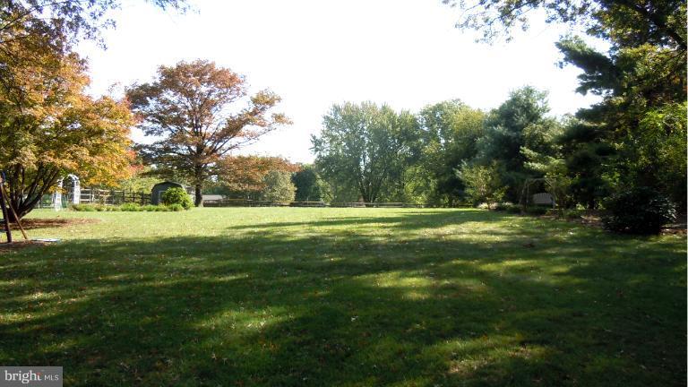 15613 Jones Lane Gaithersburg, MD 20878 - Photo 4 of 21 a view of outdoor space with garden and trees