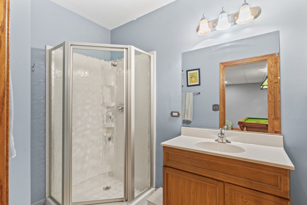 9307 Daniel Lane Spring Grove, IL 60081 - Photo 61 of 70 a bathroom with a sink a mirror a vanity and shower