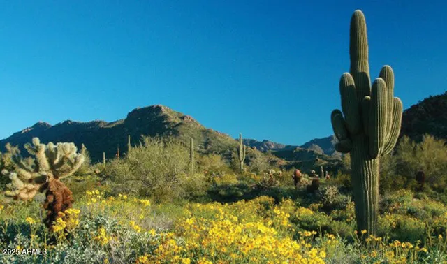 $559,900 | 3554 North Hooper Street, Buckeye, AZ 85396