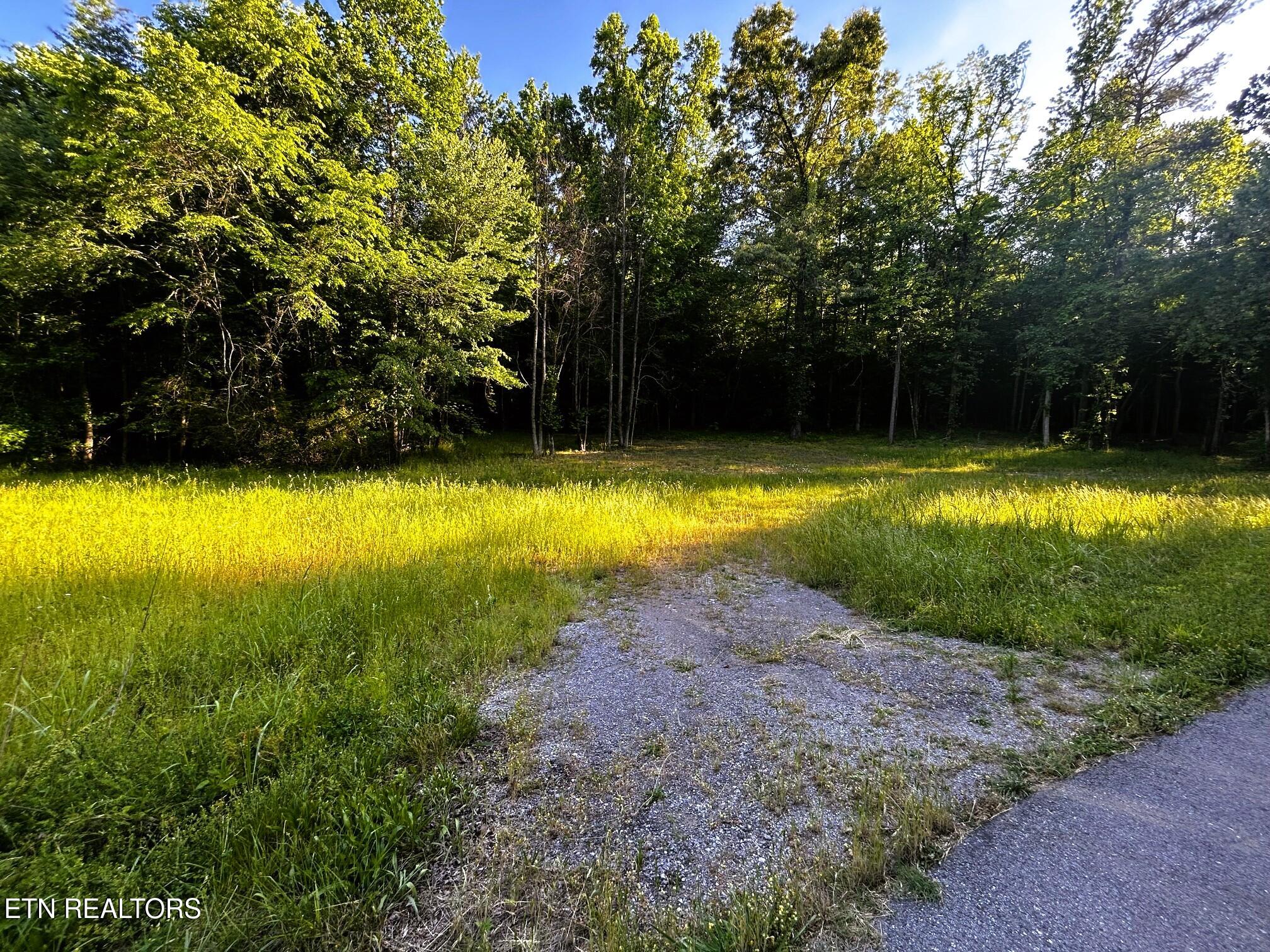 9 Pleasant Hill Road Ten Mile, TN 37880 - Photo 7 of 32 PH 9 2