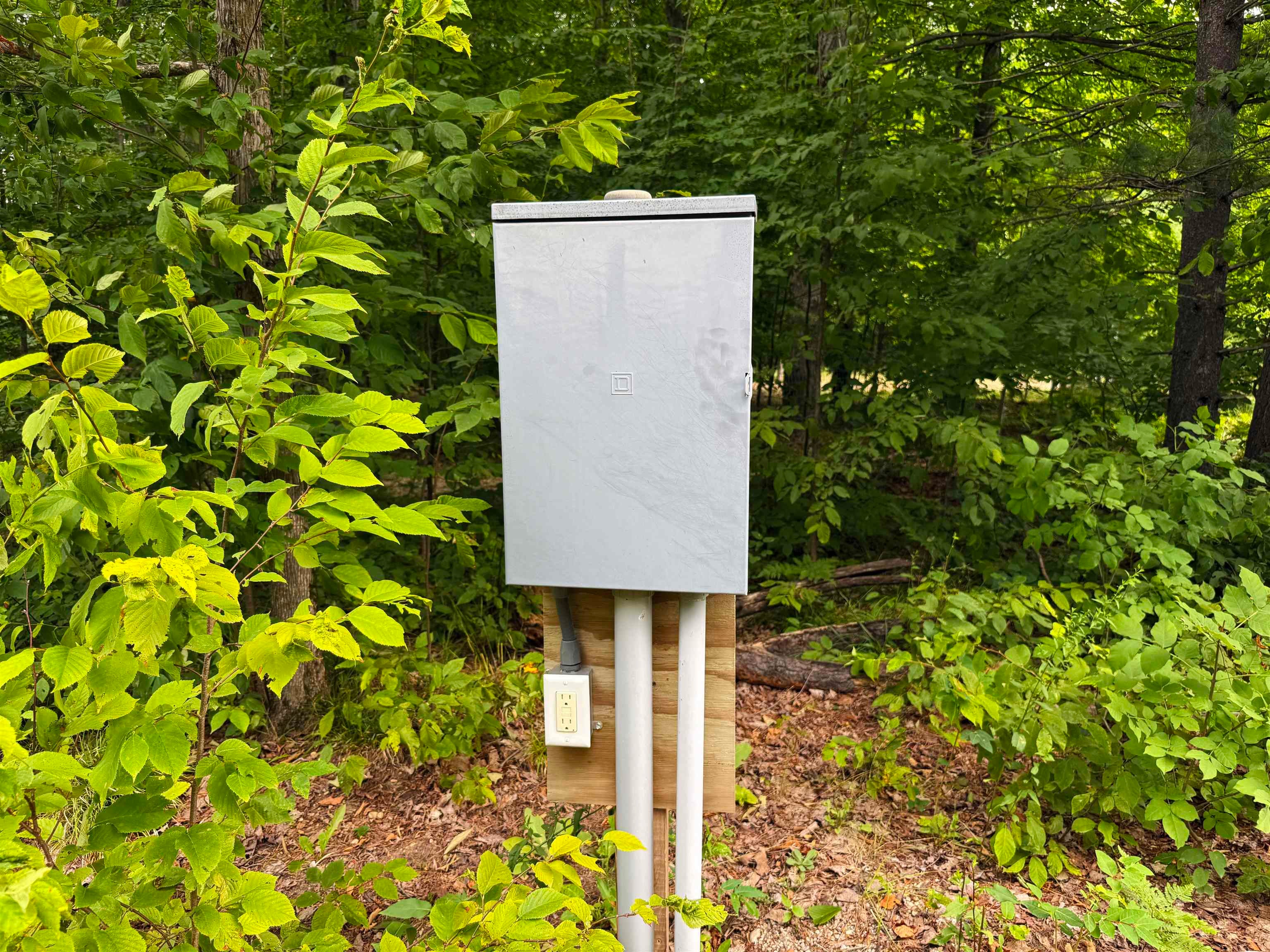 0 Beebe Road Northwest Kalkaska, MI 49646 - Photo 22 of 36