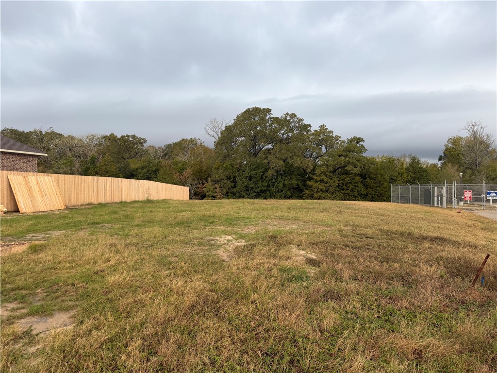 4802 Underbrush Crossing Bryan, TX 77845 - Photo 7 of 8 a view of an outdoor space with a lake view