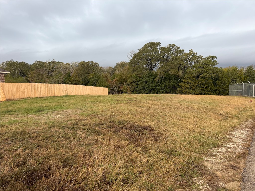 4802 Underbrush Crossing Bryan, TX 77845 - Photo 8 of 8 a view of an outdoor space and a yard