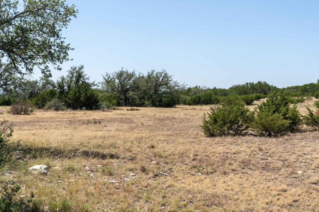 24 County Road 24 Junction, TX 76849 - Photo 12 of 37 a view of a field with a tree