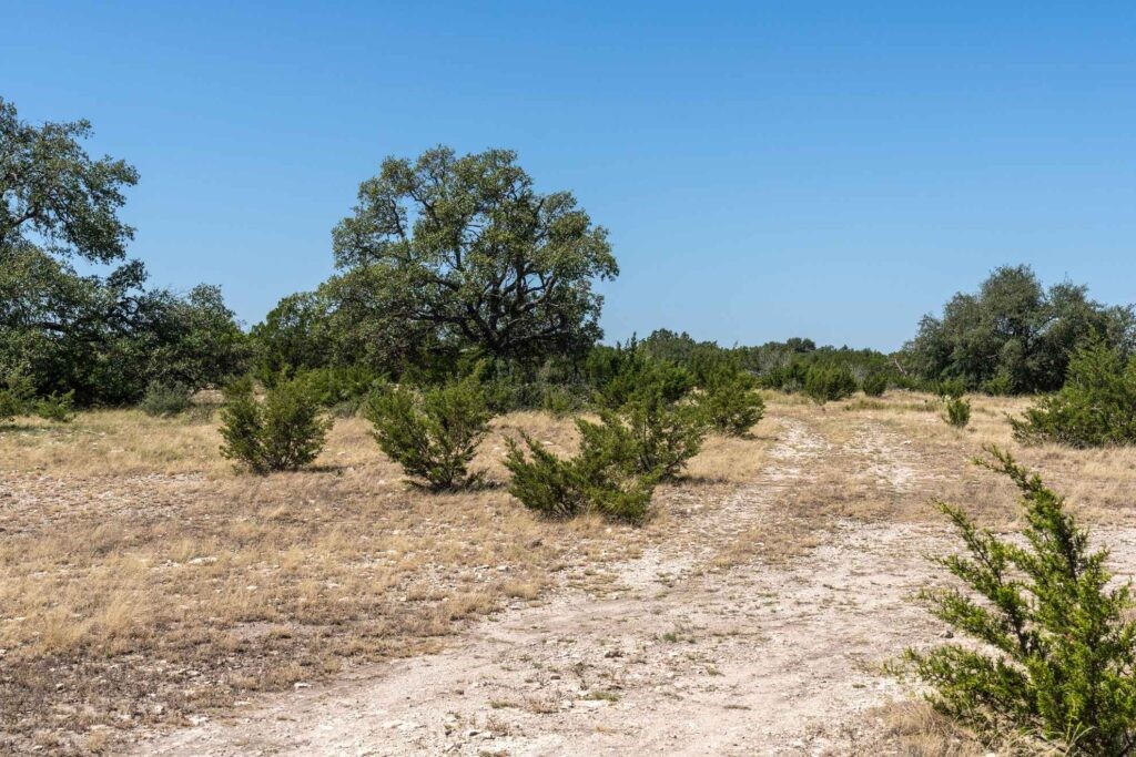 24 County Road 24 Junction, TX 76849 - Photo 3 of 37 a view of a dry yard with trees
