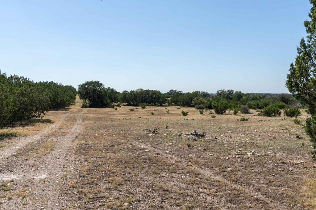24 County Road 24 Junction, TX 76849 - Photo 31 of 37 a view of a field with trees in background