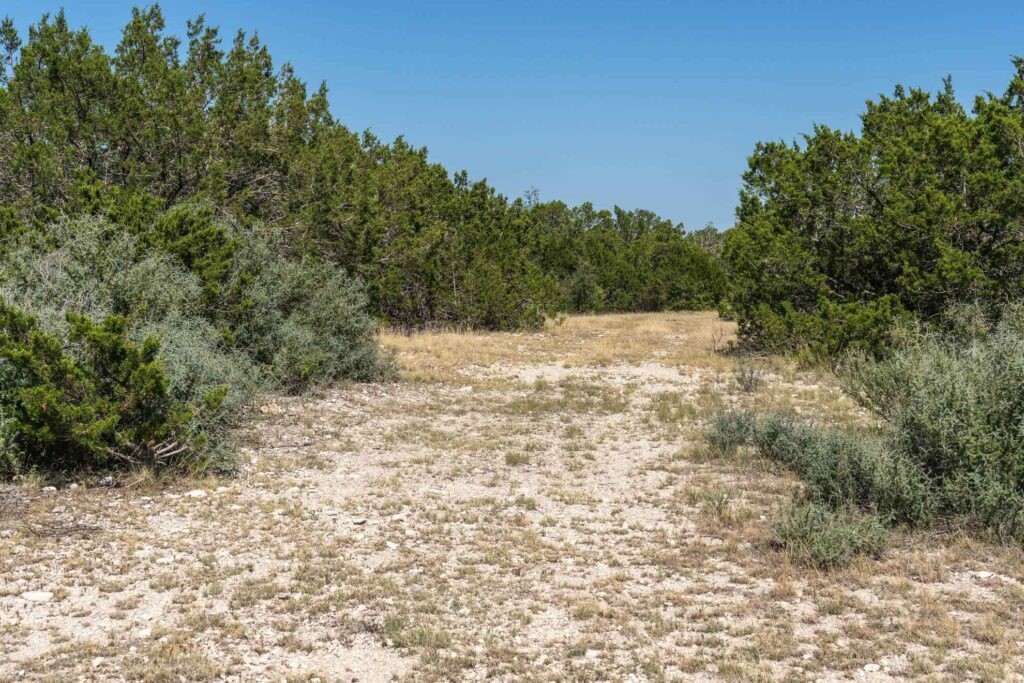 24 County Road 24 Junction, TX 76849 - Photo 32 of 37 a view of a yard with a tree