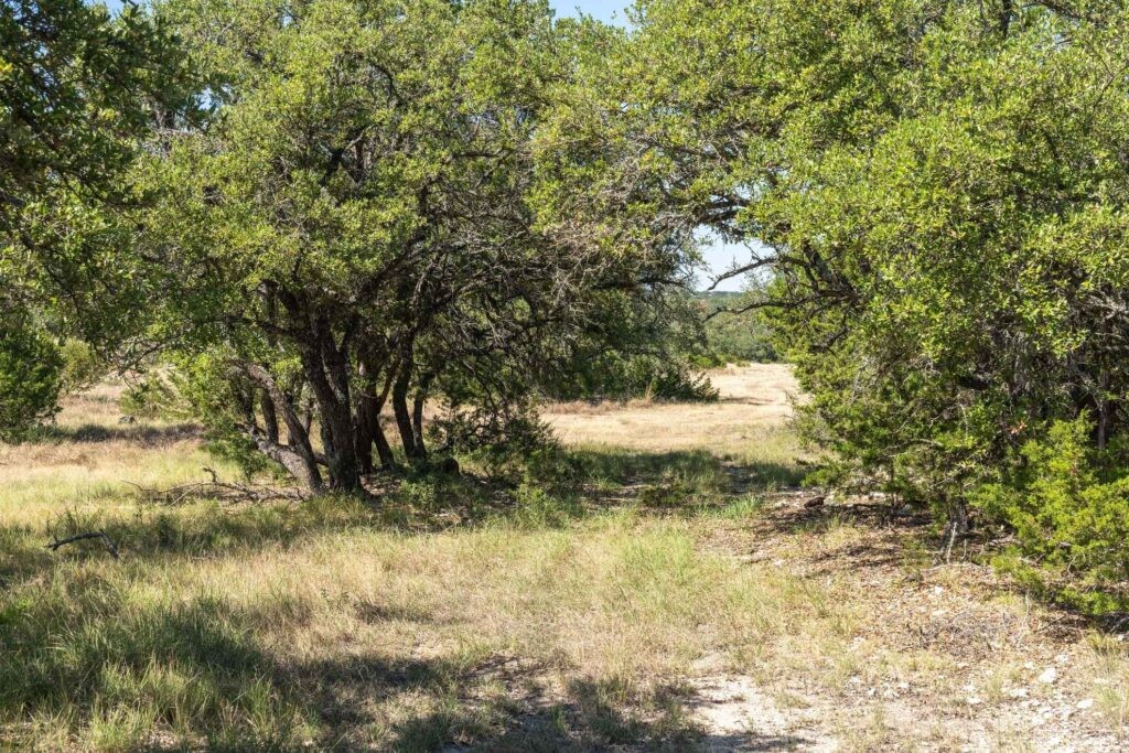 24 County Road 24 Junction, TX 76849 - Photo 35 of 37 a view of lake view