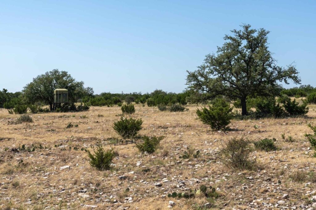 24 County Road 24 Junction, TX 76849 - Photo 5 of 37 a view of ocean view with large trees
