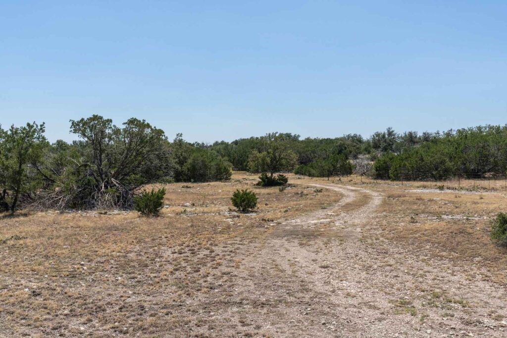 24 County Road 24 Junction, TX 76849 - Photo 9 of 37 a view of a dry yard with large trees