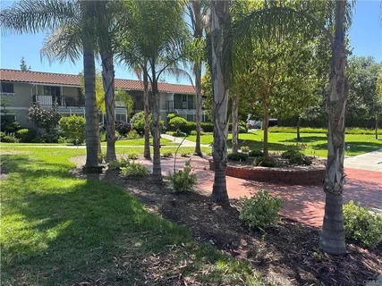 a view of a yard with a tree