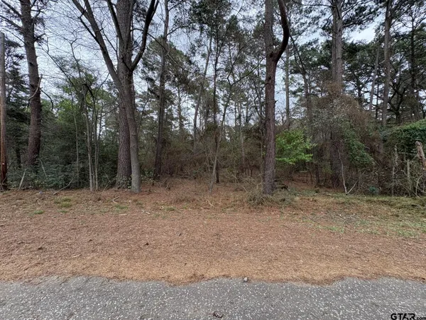 a view of a forest with trees in the background