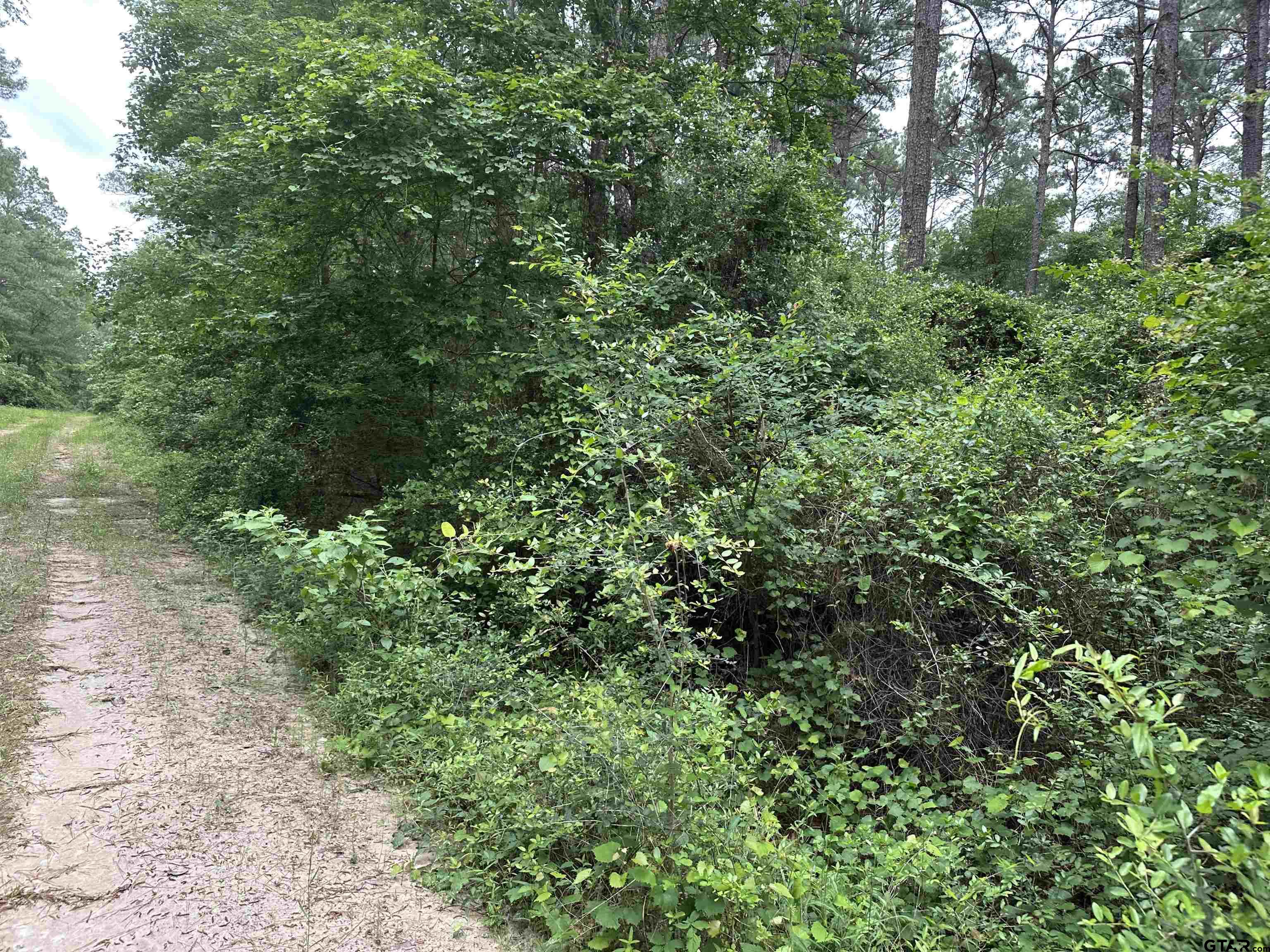Tbd Sand Road Lufkin, TX 75904 - Photo 4 of 27