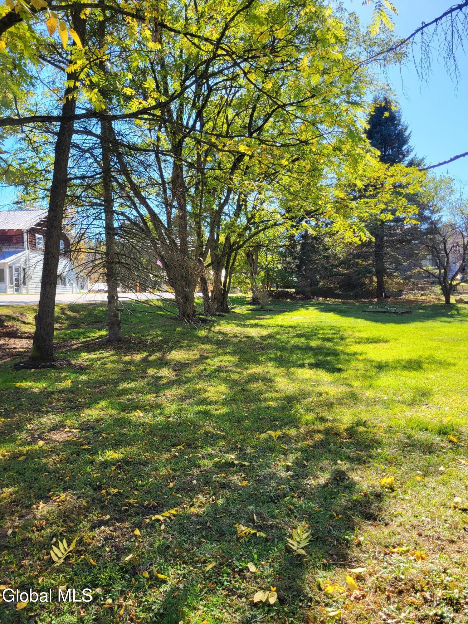 29 Hadley Road Stony Creek, NY 12878 - Photo 4 of 27 BORDEAUX 33