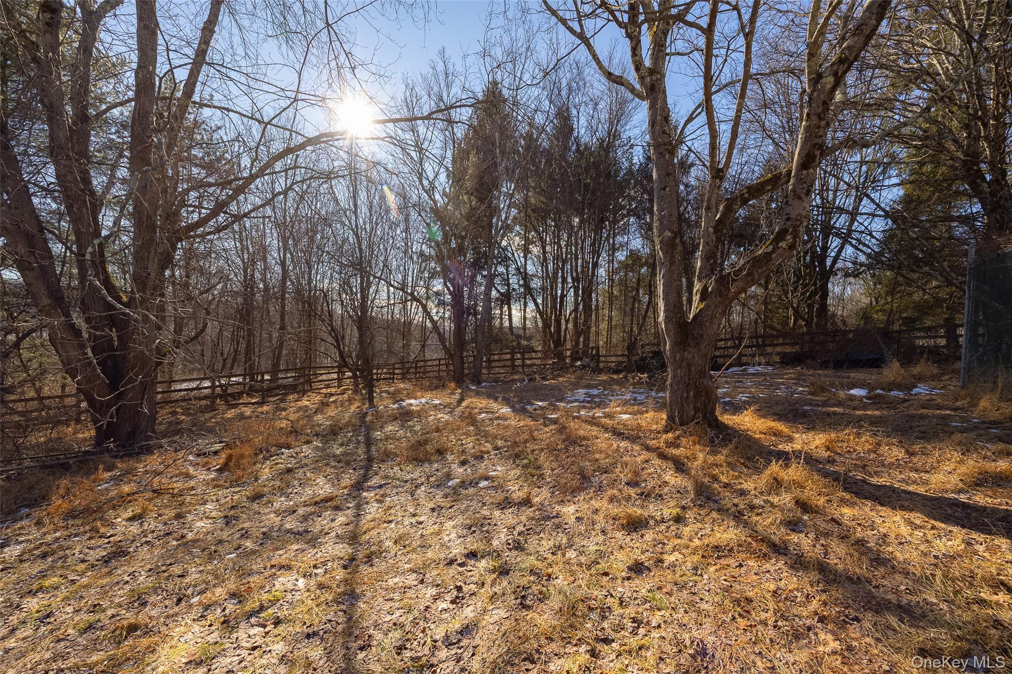 123 Brush Hill Road Millbrook, NY 12545 - Photo 29 of 29 View of side yard