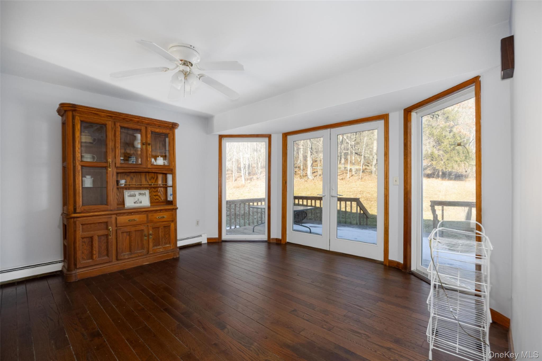 123 Brush Hill Road Millbrook, NY 12545 - Photo 8 of 29 New French doors to deck