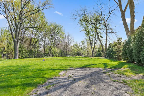 a green field with lots of trees in it