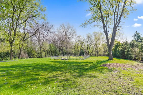 a grassy field with trees in the background