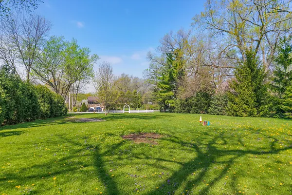 a view of a big yard with a large tree