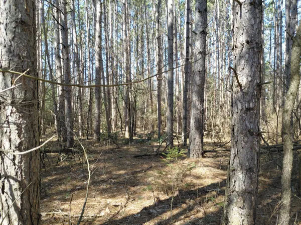 $26,900 | V/l East Pine Hill Avenue, White Cloud, MI 49349