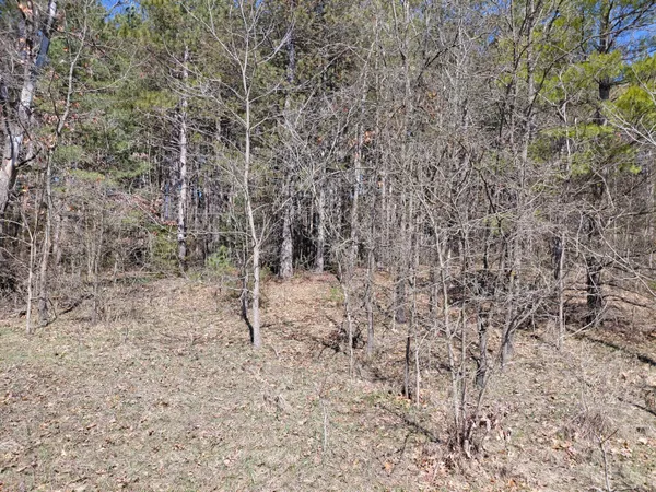 $26,900 | V/l East Pine Hill Avenue, White Cloud, MI 49349
