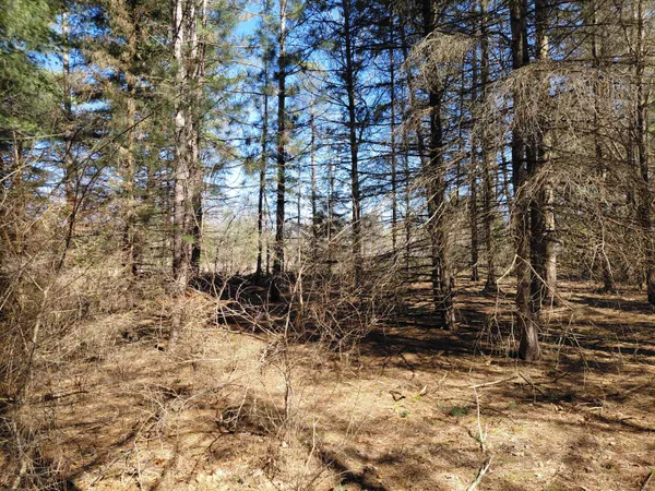 $26,900 | V/l East Pine Hill Avenue, White Cloud, MI 49349