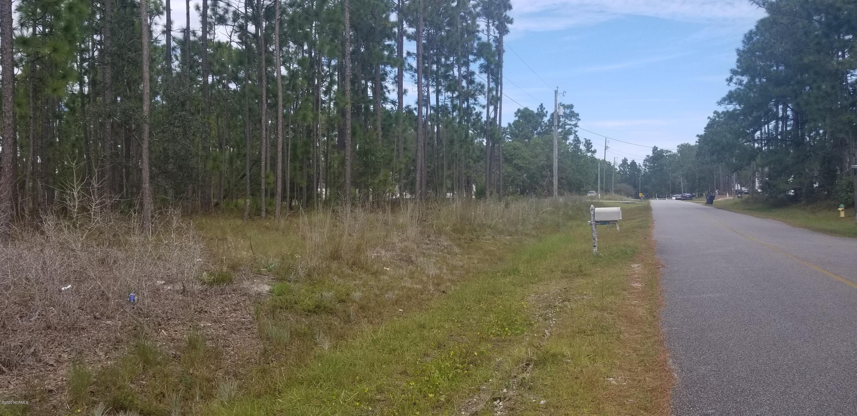 549 Prospect Road Boiling Spring Lakes, NC 28461 - Photo 1 of 2 DOUBLE LOT ON PROSPECT RD.