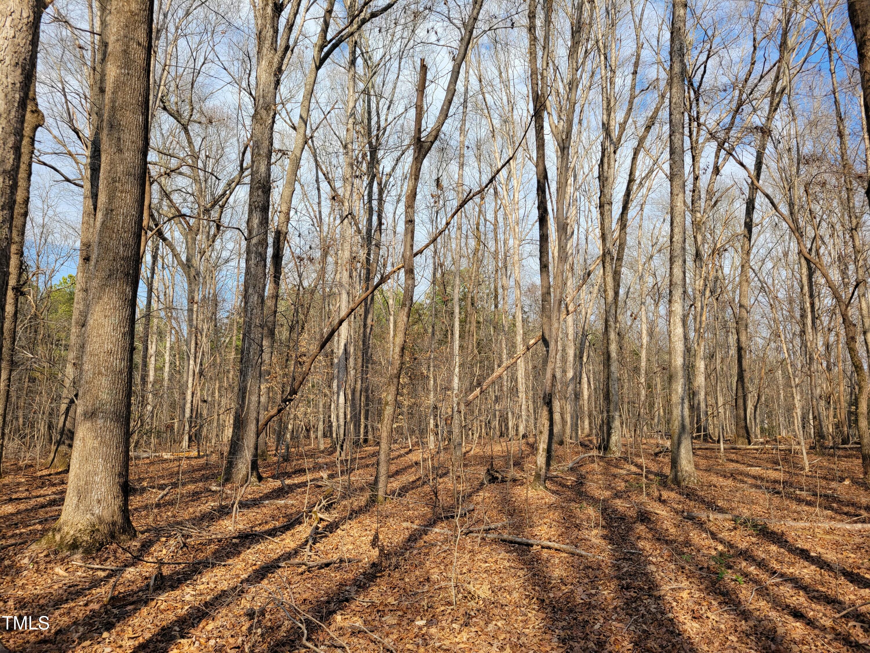 Tbd Siler City Snow Camp Road Siler City, NC 27344 - Photo 22 of 56 20250206_144203