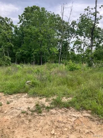 $52,595 | 231 Madison Cr, Fredericktown, MO 63645