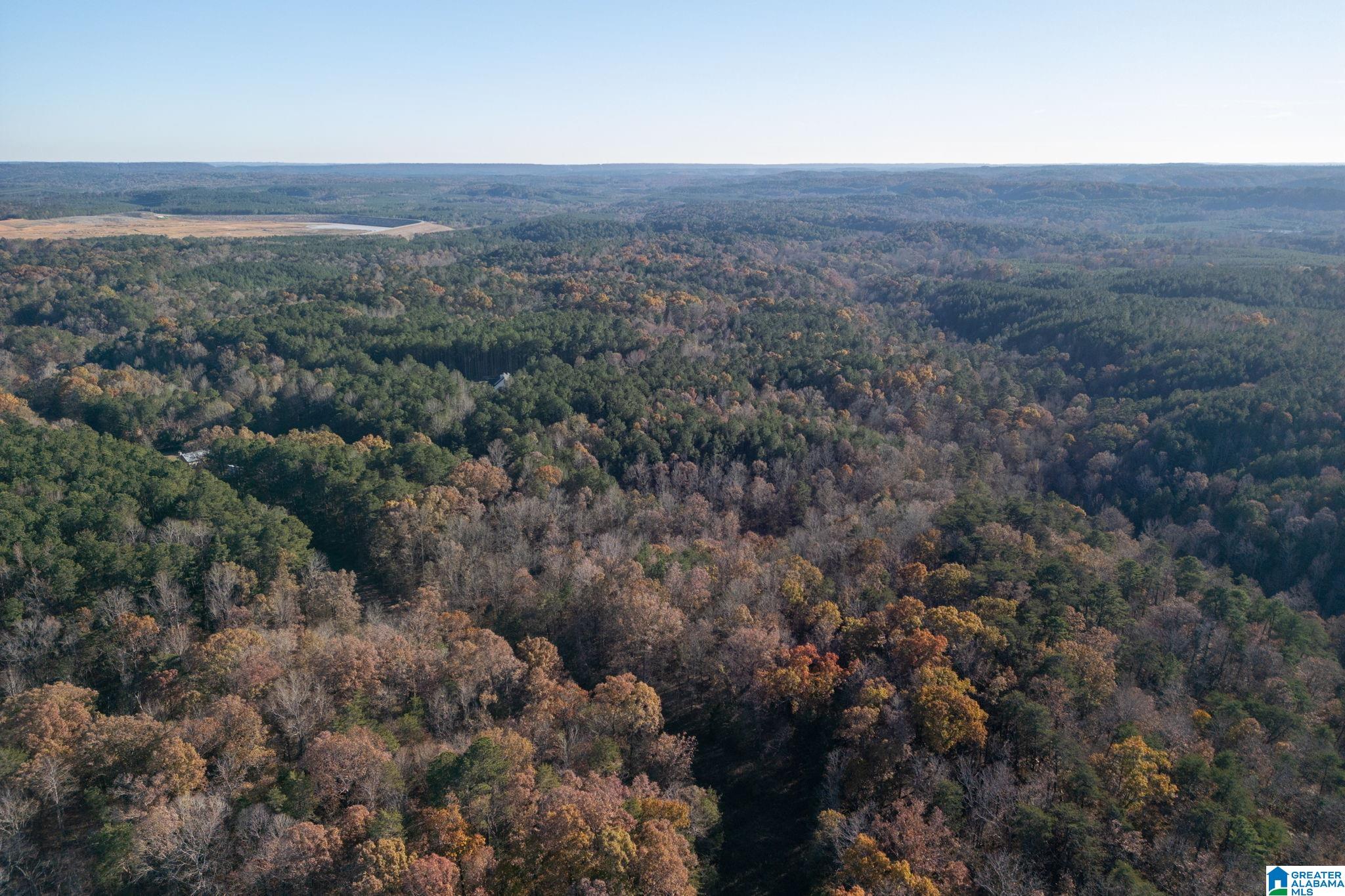 1575 Steve Crowder Road, Unit 1 Bessemer, AL 35023 - Photo 19 of 19 Gallery Image 19