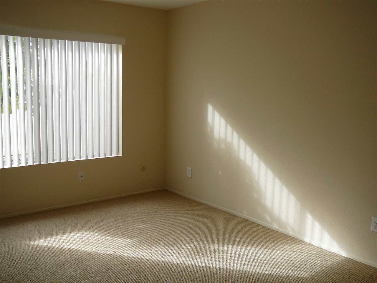 1808 Stanton Road Encinitas, CA 92024 - Photo 8 of 11