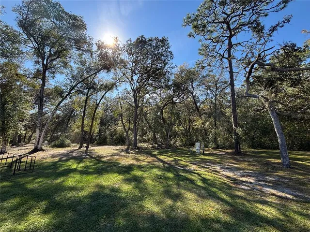 a view of outdoor space with trees all around