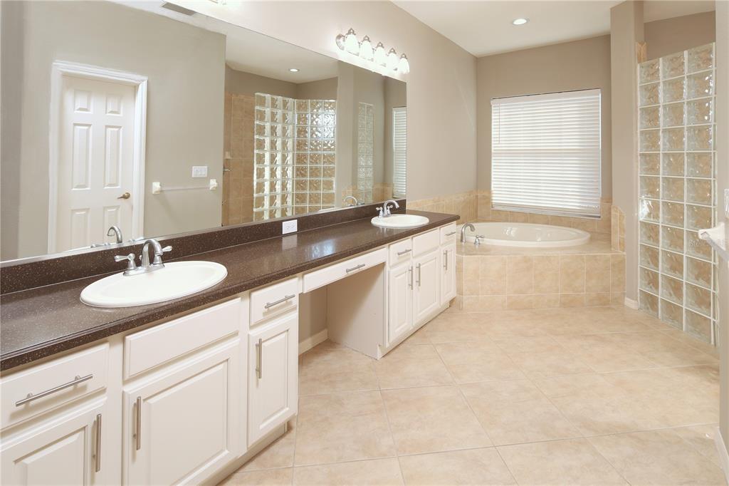 23 West Mickey Mantle Path Hernando, FL 34442 - Photo 17 of 53 a bathroom with a granite countertop sink a toilet a mirror and a bathtub