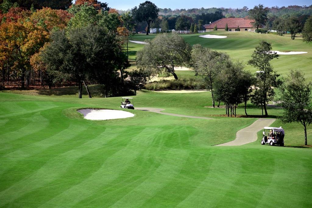 23 West Mickey Mantle Path Hernando, FL 34442 - Photo 49 of 53 a view of a golf course with a lake