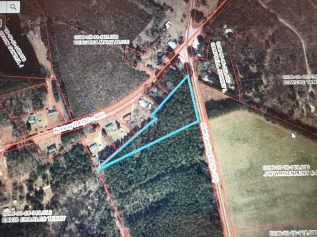 $59,900 | 0 Slab Landing Road, Orangeburg, SC 29115