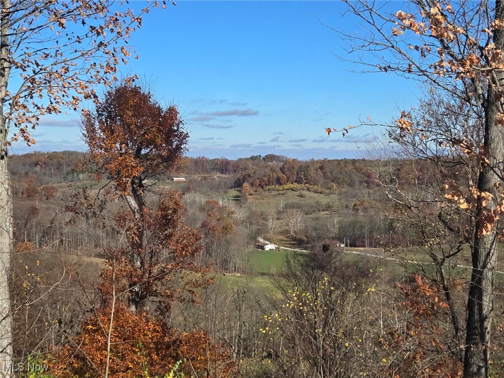6376 Nichols Road Malta, OH 43758 - Photo 21 of 23 View of landscape