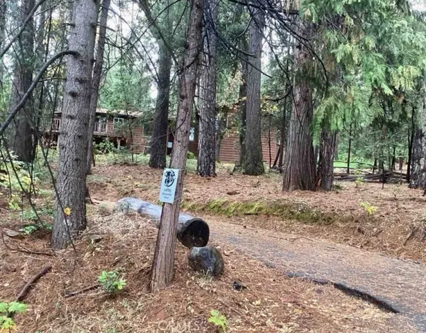 a backyard of a house with lots of green space