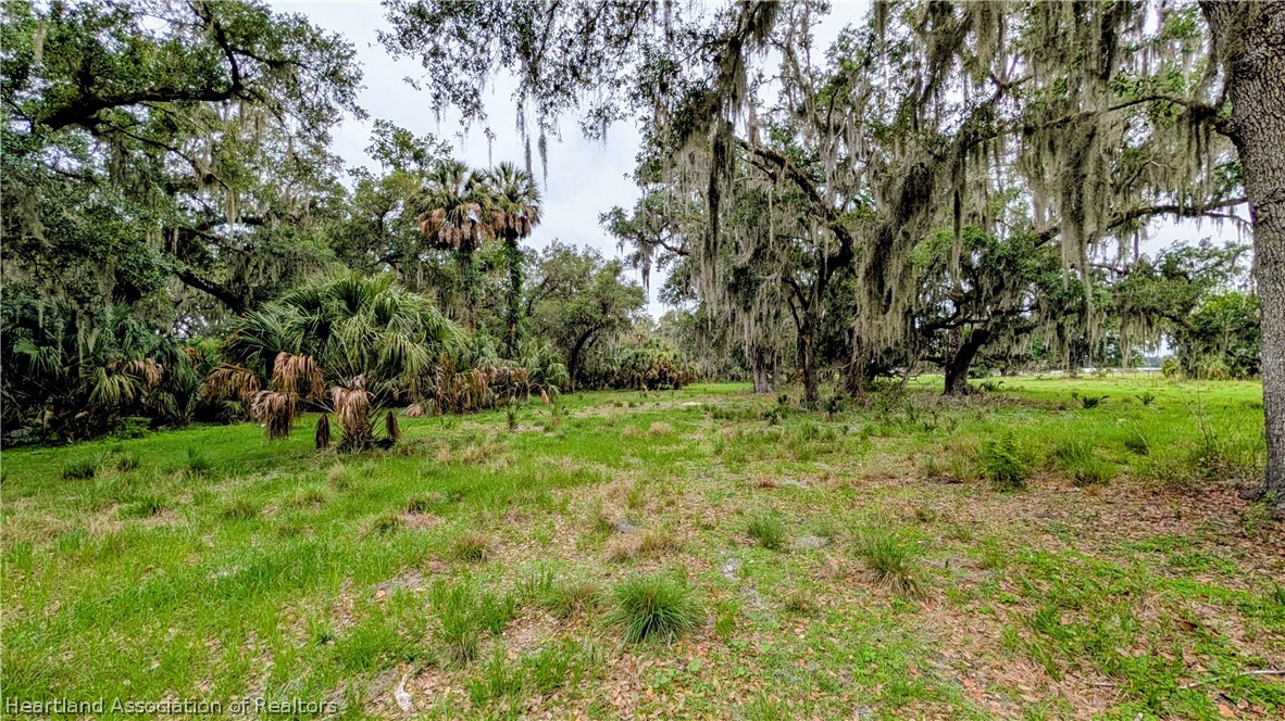 Griffin Road Wauchula, FL 33873 - Photo 11 of 17 a big yard with lots of green space and deers
