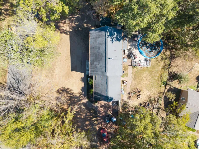 a picture of flowers