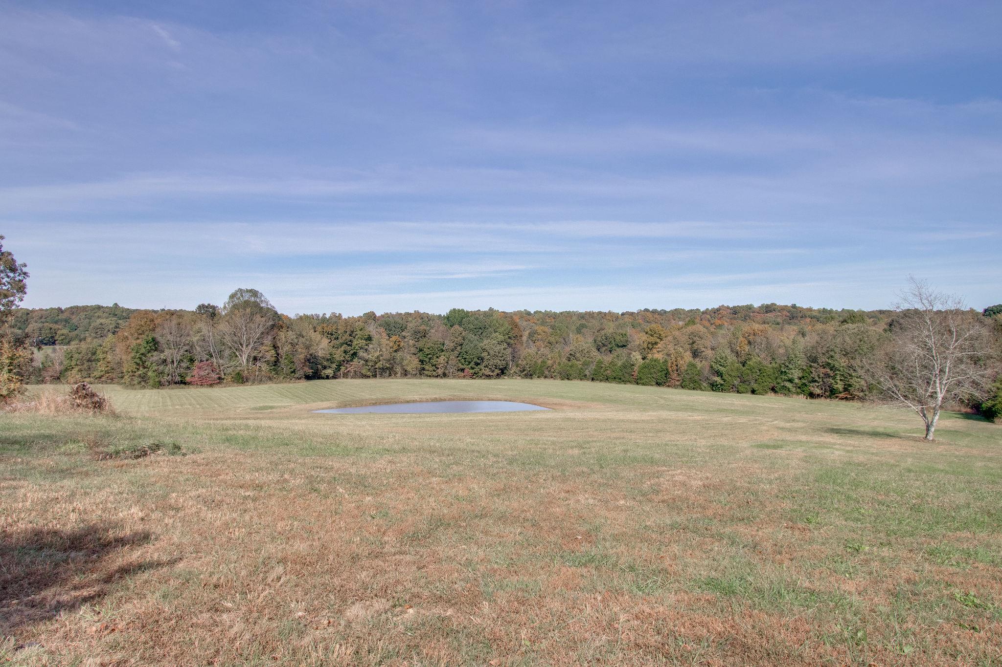 1123 Smith Thompson Road Bethpage, TN 37022 - Photo 8 of 21