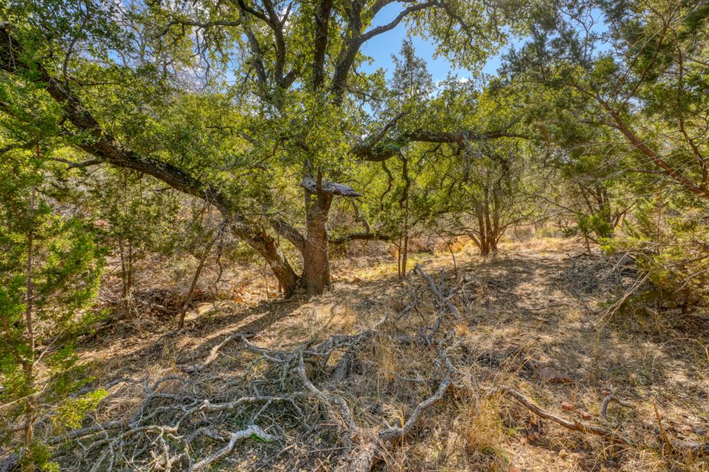 12759 Highway 16 Llano, TX 78643 - Photo 37 of 62 Lots of neat rocks