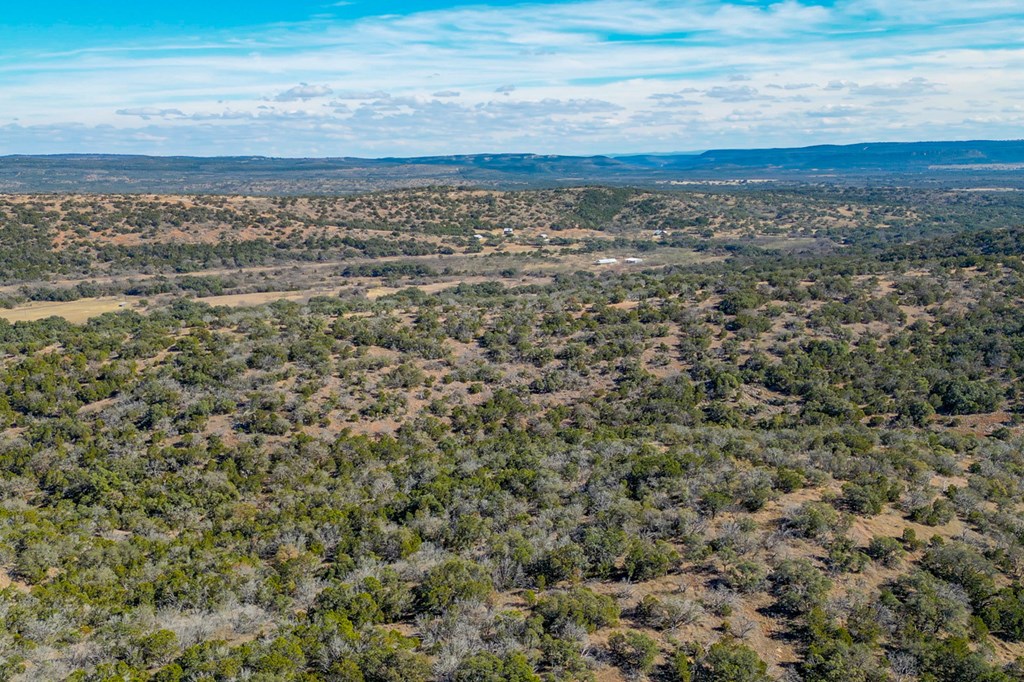 12759 Highway 16 Llano, TX 78643 - Photo 4 of 62